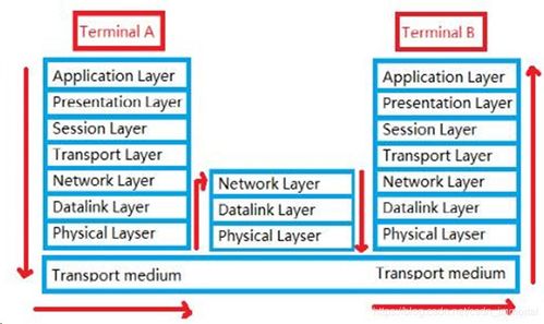 網絡技術的演進與未來展望